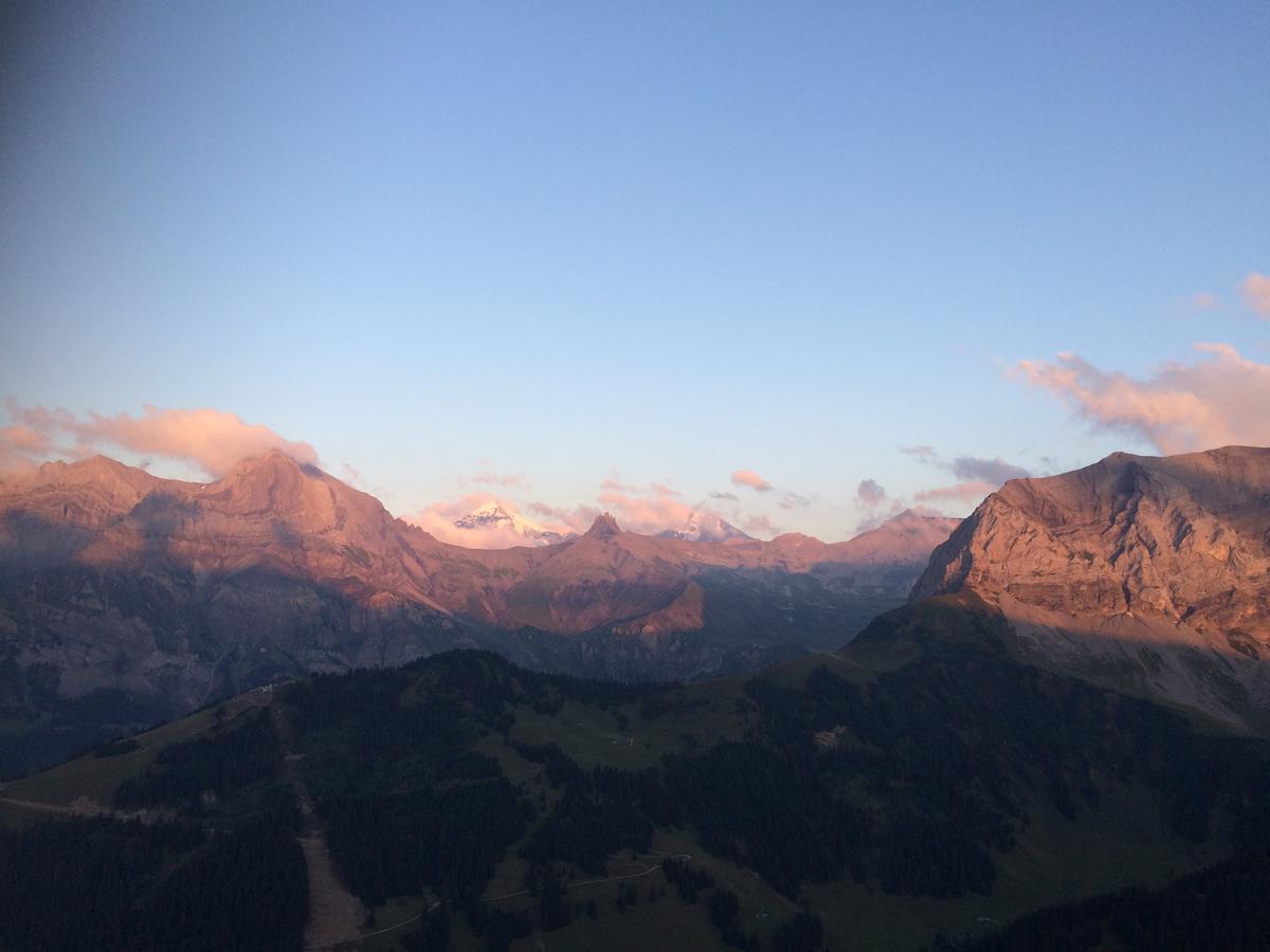 Bergdohle Apartamento Adelboden Exterior foto