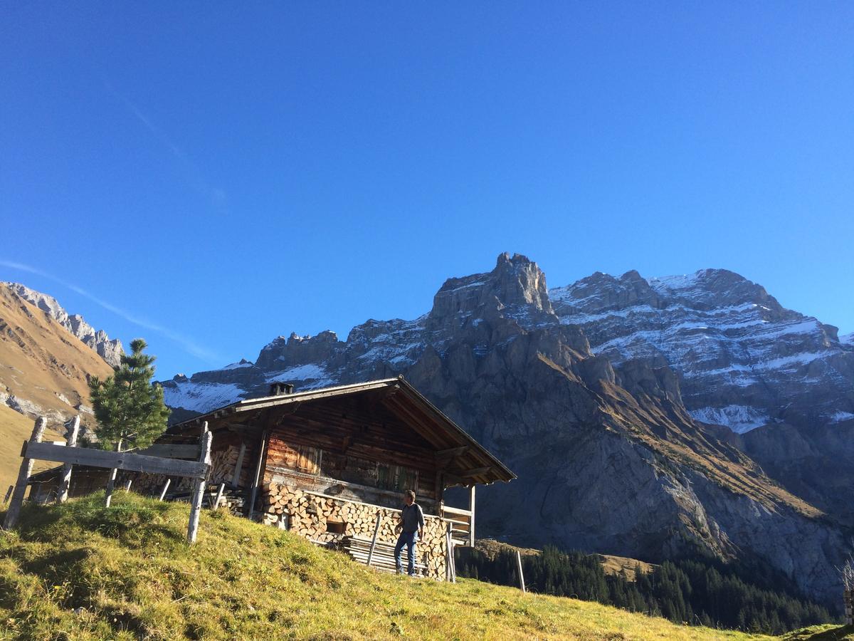 Bergdohle Apartamento Adelboden Exterior foto