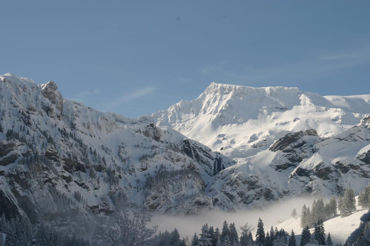 Bergdohle Apartamento Adelboden Exterior foto