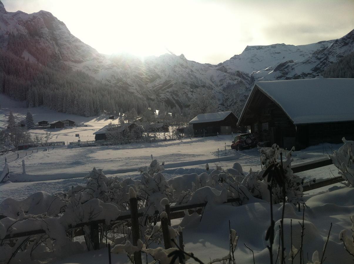 Bergdohle Apartamento Adelboden Exterior foto
