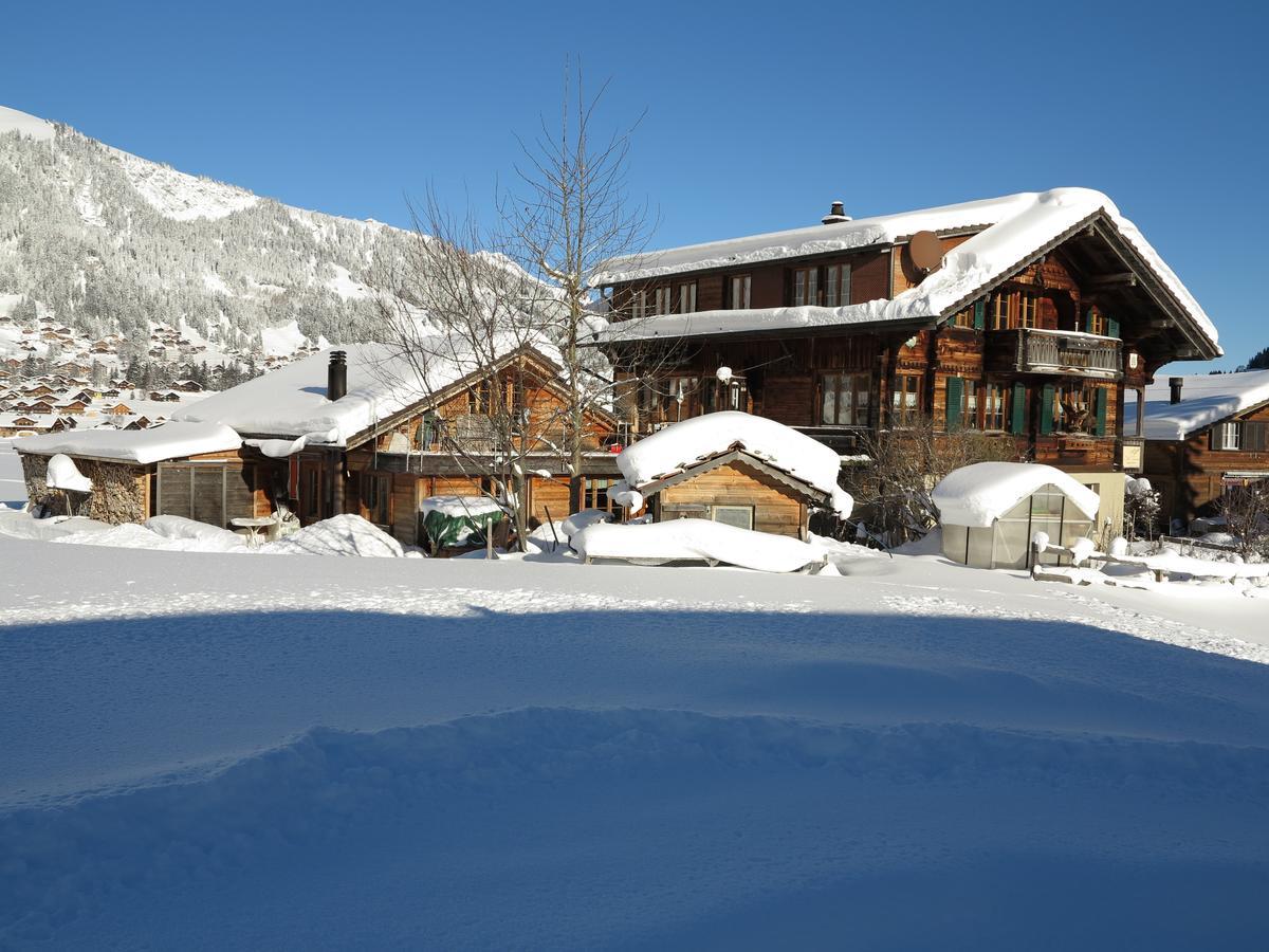 Bergdohle Apartamento Adelboden Exterior foto